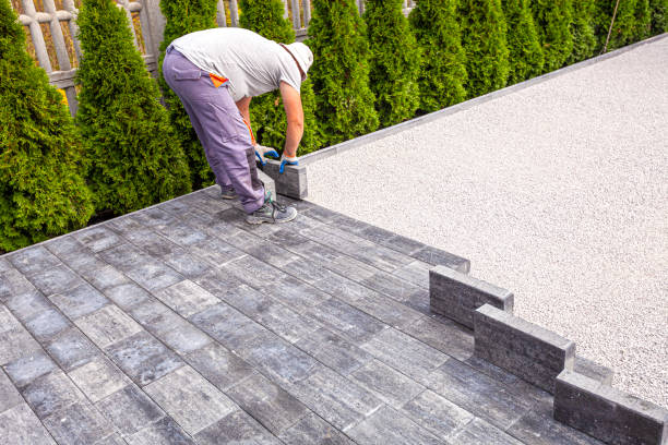 Best Custom Driveway Pavers  in Winslow, AZ